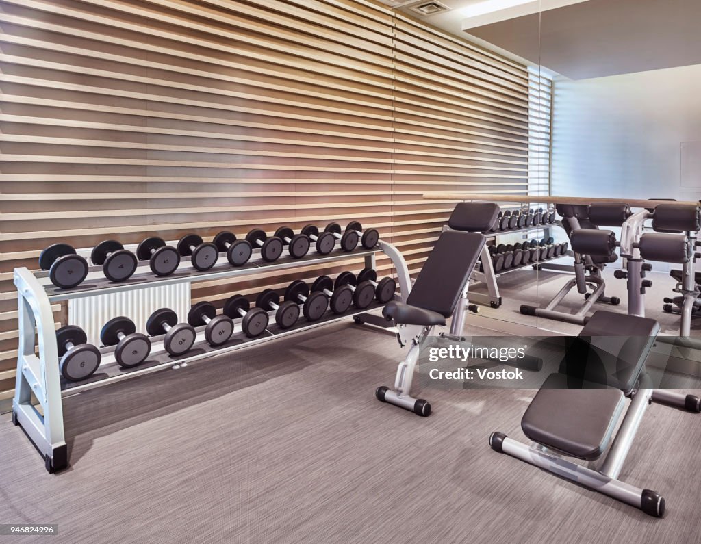 Luxury Gym